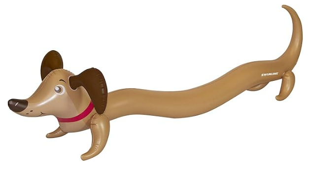 Swimline Inflatable Pool Noodle - Doggy Doodle
