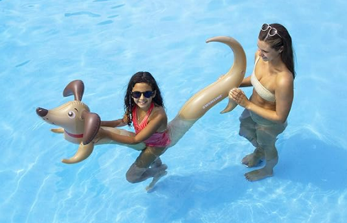 Swimline Inflatable Pool Noodle - Doggy Doodle